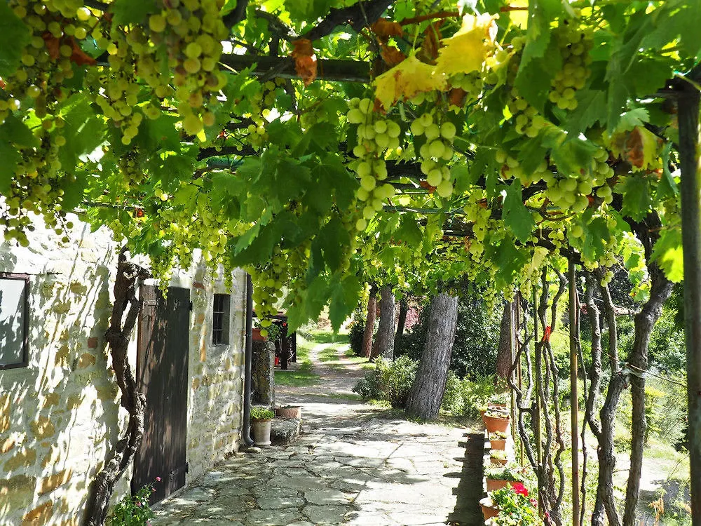 Casa Il Pergolato Apartment Cortona