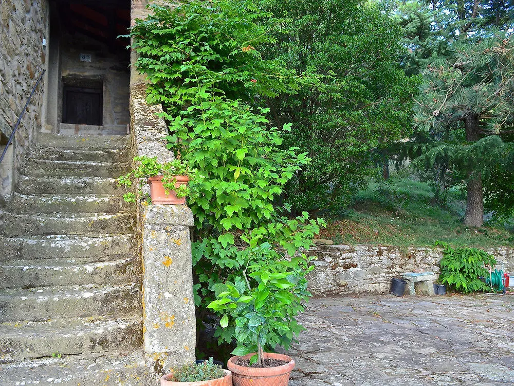 Casa Il Pergolato Apartment Cortona