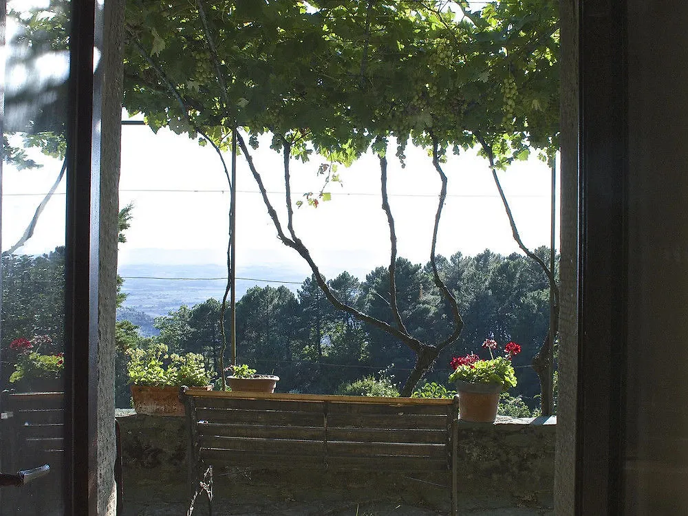 Casa Il Pergolato Apartment Cortona