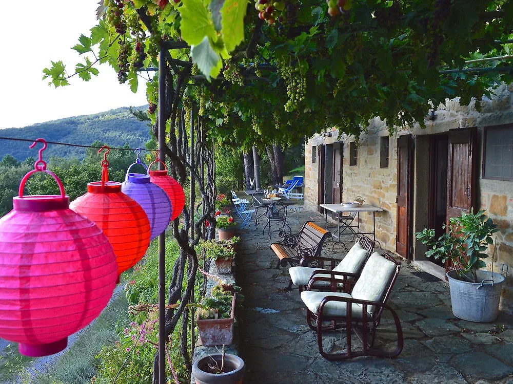 Casa Il Pergolato Apartment Cortona