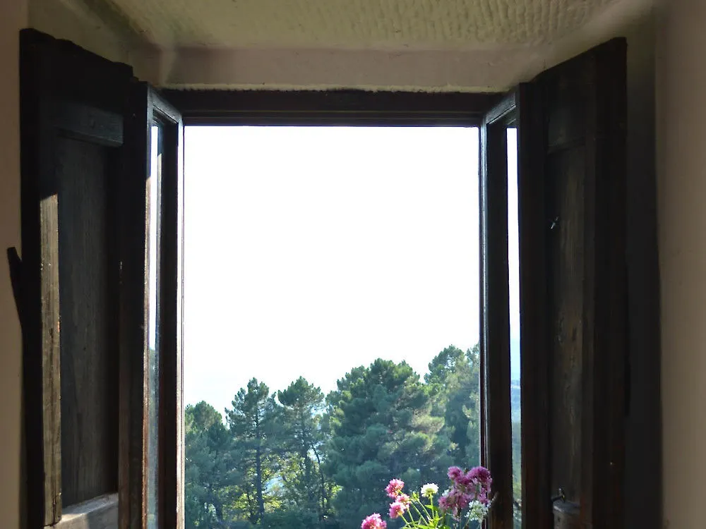 Casa Il Pergolato Apartment Cortona